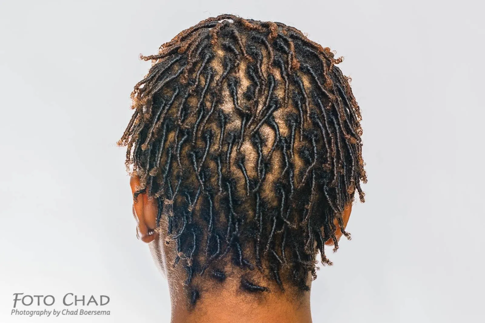 Back of a head showing short, neatly coiled hair with caramel highlights against a pale gray backdrop, styled by Tamesha Scott